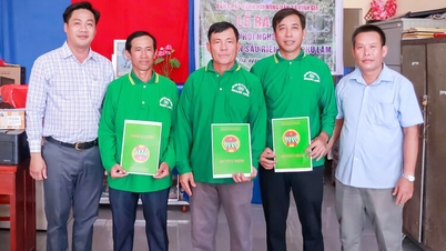 ការបង្កើតសមាគមកសិករអាជីពសម្រាប់ដាំដំណាំទុរេននៅភូមិភូឡាំ