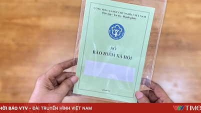 سيتم زيادة المخصصات الشهرية لأولئك الذين لا يستوفون شروط الحصول على معاش تقاعدي ابتداءً من 1 يوليو 2026.