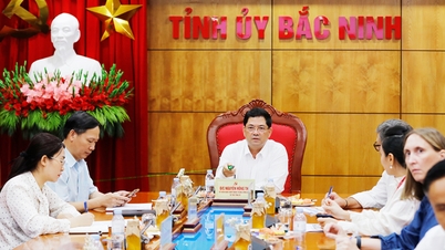 Bac Ninh مرکزی خوردہ ویتنام گروپ کو اپنے خوردہ نظام کو تیار کرنے میں معاونت کرتا ہے۔