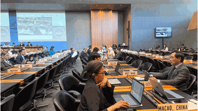 La delegazione vietnamita presso l'OMC interviene alla sessione di revisione della politica commerciale giapponese.