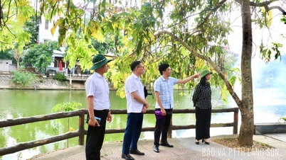 Đoàn giám sát của Thường trực HĐND tỉnh khảo sát tại phường Đông Kinh