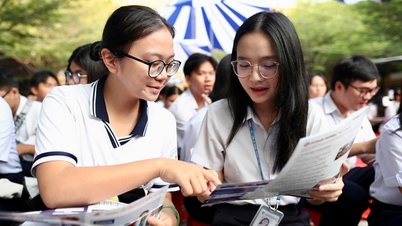 El Comité Popular de Ciudad Ho Chi Minh ha solicitado una inspección y supervisión más estrictas de las instalaciones sanitarias, turísticas y de formación en idiomas extranjeros.