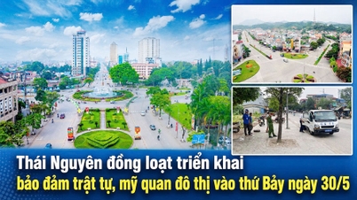 Il 30 maggio Thai Nguyen ha contemporaneamente implementato misure per garantire l'ordine e l'estetica urbana.