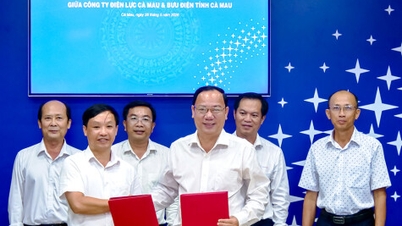 Công ty Điện lực Cà Mau và Bưu điện tỉnh ký kết hợp tác thu hộ tiền điện
