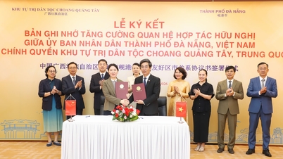 Da Nang menggalakkan kerjasama dengan Wilayah Autonomi Guangxi Zhuang (China)