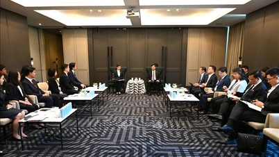 ベトナムとタイは、科学、技術、イノベーション分野における協力を推進している。