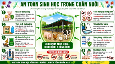 Tây Ninh tăng cường an toàn sinh học trong chăn nuôi nông hộ, chủ động phòng chống dịch bệnh động vật