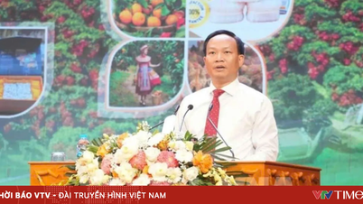 Bac Ninh: Liçi ve tarım ürünlerinin tüketimi için tüm elverişli koşulları yaratmak.
