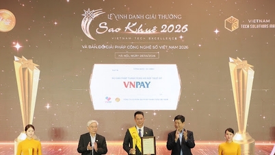 La soluzione di VNPAY per pagamenti digitali e dichiarazioni dei redditi si è classificata tra le prime 10 ai Sao Khue Awards 2026.