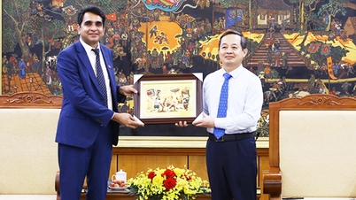 Il presidente del Comitato popolare della provincia di Bac Ninh riceve i rappresentanti del gruppo farmaceutico Hetero Labs (India).