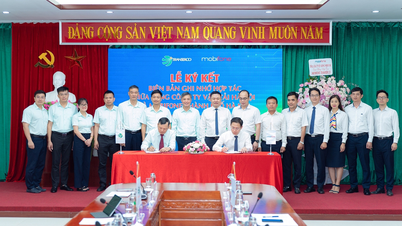 Promuovere la trasformazione digitale e migliorare la qualità del trasporto pubblico ad Hanoi.