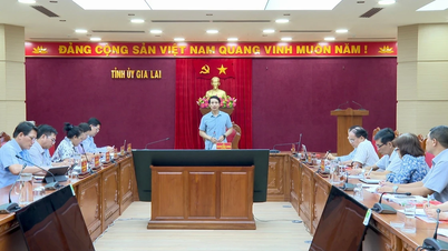 Phó Bí thư Tỉnh ủy Nguyễn Ngọc Lương làm việc với Ban Thường vụ Hội Chữ thập đỏ tỉnh Gia Lai