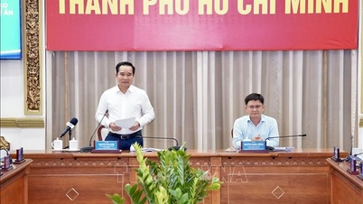 Đề xuất đặt tên Luật Đô thị đặc biệt Thành phố Hồ Chí Minh