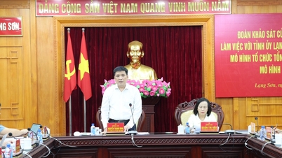 ທີມງານສຳຫຼວດຈາກຄະນະຈັດຕັ້ງສູນກາງໄດ້ເຮັດວຽກຮ່ວມກັບຄະນະພັກແຂວງ Lang Son.