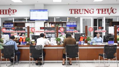 Da Nang stellt ein Team von Beamten zusammen, um den neuen Anforderungen gerecht zu werden.