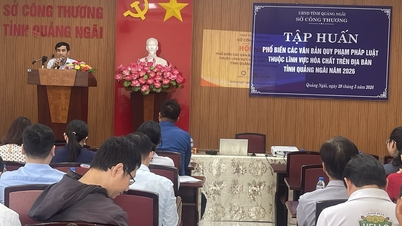 Schulungskurs zur Verbreitung von Rechtsvorschriften im Bereich der Chemikalien in der Provinz Quang Ngai im Jahr 2026