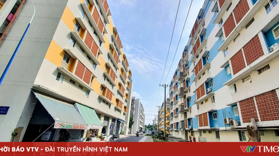 ক্রমবর্ধমান বাড়ির দামের পরিপ্রেক্ষিতে, দীর্ঘমেয়াদে ভাড়া নেওয়া কি একটি কার্যকর বিকল্প?