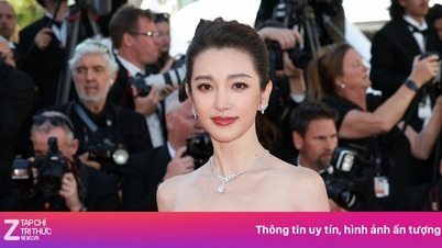 Li Bingbing und andere Stars trugen Schmuck von Chaumet bei den Filmfestspielen von Cannes.