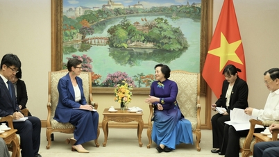Vietnam og WHO fremmer samarbeid for å beskytte menneskers og lokalsamfunns helse.
