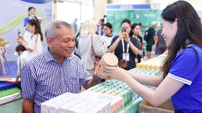 L'industria lattiero-casearia vietnamita punta alla qualità e allo sviluppo sostenibile.