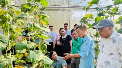 Hanoi: Stödjer jordbrukare i att tillämpa vetenskap och teknik för att utveckla jordbruksekonomin.