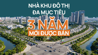 Nuove caratteristiche nel progetto dell'area urbana polifunzionale di Hanoi.