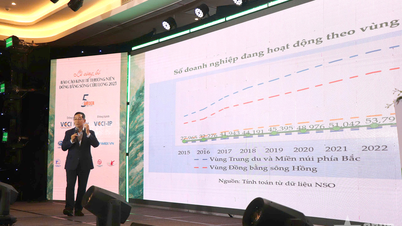 Pengembangan bisnis di Delta Mekong: Banyak angka yang "mengecewakan"