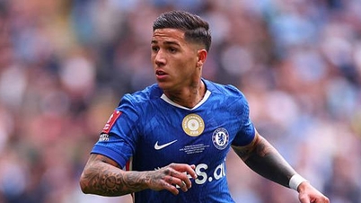 Il Chelsea in subbuglio: Enzo Fernandez vuole andarsene, Xabi Alonso vuole ingaggiare Florian Wirtz.