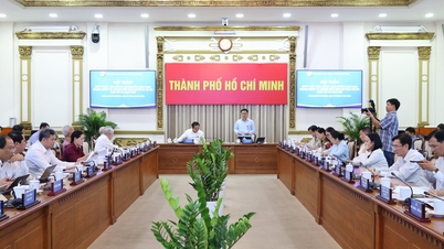 Ho Chi Minh City needs strong decentralization to promote maximum autonomy.