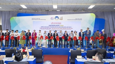 Promuovere la trasformazione ecologica e la digitalizzazione nell'industria lattiero-casearia vietnamita.