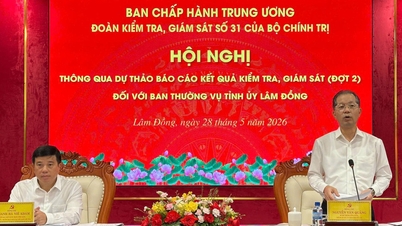Propondremos mecanismos y políticas específicas para ayudar a Lam Dong a lograr un avance significativo.