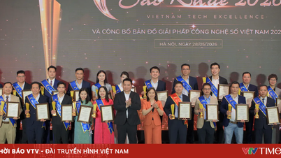 Il Vietnam ha il potenziale per creare piattaforme tecnologiche digitali competitive a livello globale.