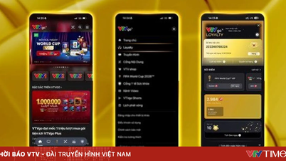 Apri subito l'app VTVgo per guadagnare punti, accumulare stelle e riscattare fantastici premi.