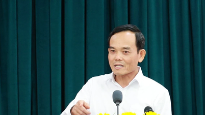 Bapak Tran Luu Quang: Melanjutkan peninjauan beberapa posisi kepemimpinan di Kota Ho Chi Minh.