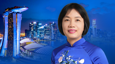 Vietnam, playing an active role, will contribute many initiatives at the Shangri-La Dialogue.