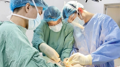 Đầu tư nguồn nhân lực chất lượng cao
