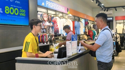 Fortalecer o combate e o tratamento das violações dos direitos de propriedade intelectual.