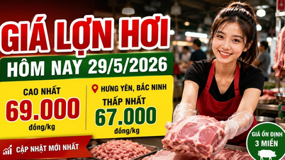 Prix ​​du porc aujourd'hui, 29 mai : Hung Yen et Bac Ninh sont en tête au niveau national.