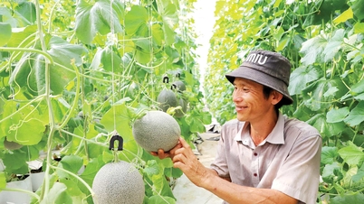 Mendekatkan sains, teknologi, dan transformasi digital kepada para petani.