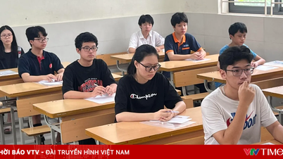Queste regole "d'oro" aiuteranno gli studenti del decimo anno a evitare di perdere punti inutilmente prima del grande giorno.