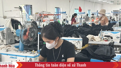 คณะวรรณคดีดำเนินการแก้ไขปัญหาด้านการพัฒนาเศรษฐกิจ