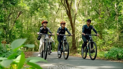 Giro in bicicletta attraverso la foresta per esplorare la cascata di Mai.