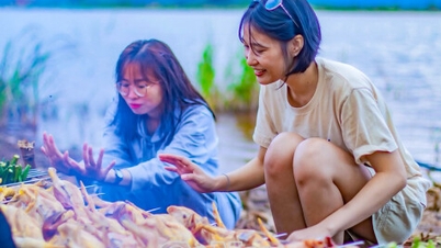 ເພີດເພີນກັບການປຸງແຕ່ງອາຫານທ່າມກາງທຳມະຊາດ.