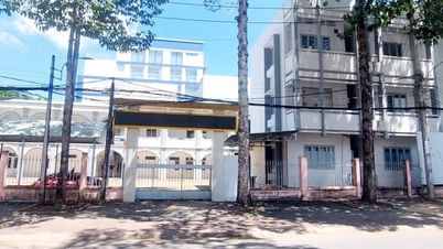 Tras la exitosa fusión de las antiguas provincias de Tra Vinh y Ben Tre, ¿cuántos miles de terrenos y propiedades excedentes ha logrado consolidar la provincia de Vinh Long?