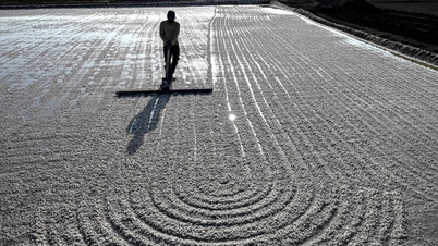 Forrando tendas com esterco: como os trabalhadores do sal na Índia sobrevivem ao calor de 48°C.