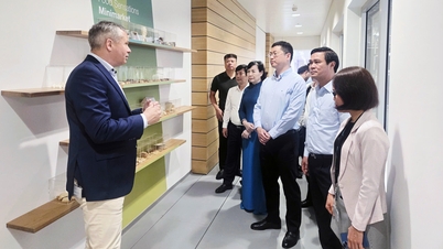 Bac Ninh eyaletinden gelen heyet İsviçre'yi ziyaret etti ve orada çalışmalar yürüttü.