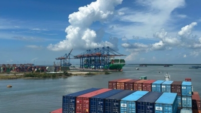 Udvikling af den nationale containerflåde fra et globalt perspektiv.