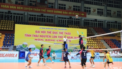 La competición de voleibol da comienzo en el X Festival Deportivo Provincial de Thai Nguyen.