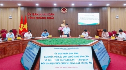 ខេត្តក្វាងង៉ាយ លុបបំបាត់ឧបសគ្គចំពោះនីតិវិធីសម្រាប់ការពង្រីកសិទ្ធិប្រើប្រាស់ដីធ្លីសម្រាប់គម្រោងនានា។