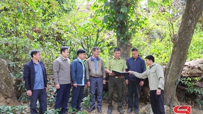 Pac Nga melindungi "paru-paru hijaunya".
